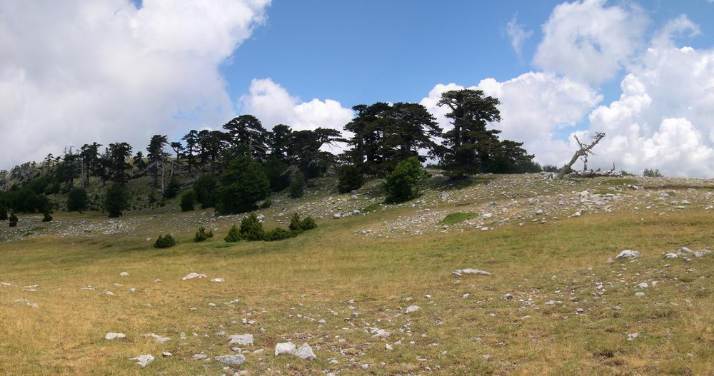 Panoramiche dal Pollino